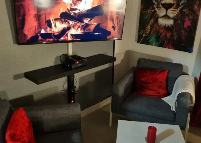 Appartement Tours Centre